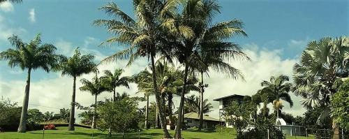 Hilo Bay Room