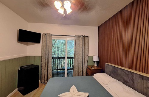 Hilo Hotel | Wild Ginger Hotel