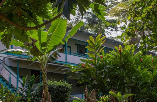 Hilo Hotel | Wild Ginger Hotel