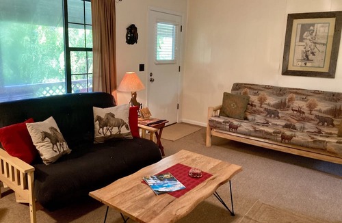 Townsend Cabin | Cozy Cottage near National Park w/Awesome Mountain Views! Extremely clean!