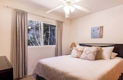 Volcano House | Tropical Volcano Escape with Lanai, Yard & Washer/Dryer