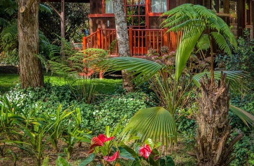 Volcano Cabin | crater rim cabin garden view
