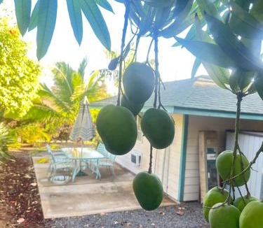 Kihei House | Grateful Casita
