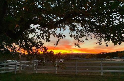 Silt House | Romantic Rustic Luxury on 21-acre Private Ranch #3
