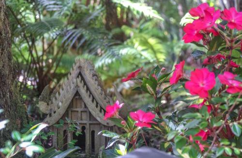 Volcano House | At the Craters Edge