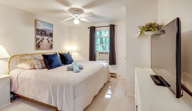 Outdoor Exploration: Quaint North Conway Cottage! in North Conway
