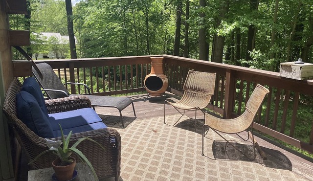 Surrounded by nature and wildlife, The Cabin is the perfect getaway. in Stoddard