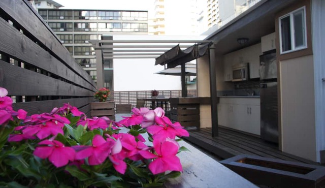 The Beach Waikiki Boutique Hostel in Honolulu