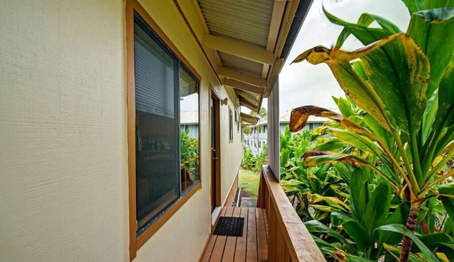 NEW - THE OUTRIGGER 3BR 2Bath - Hilo cold AC
