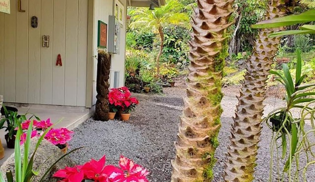 Tropical cottage with fresh rain water hot tub close to Volcanoes National Park