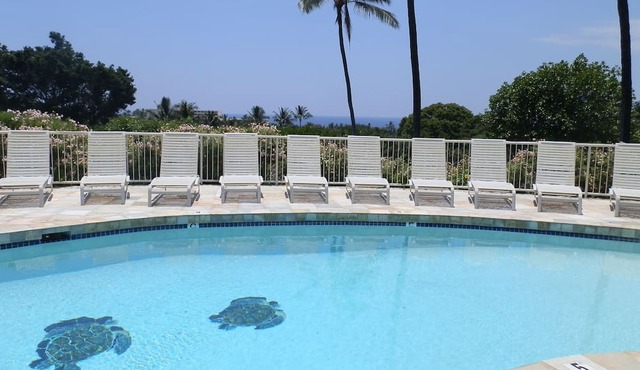 Wonderful Ocean View –Totally Renovated-On Golf Course