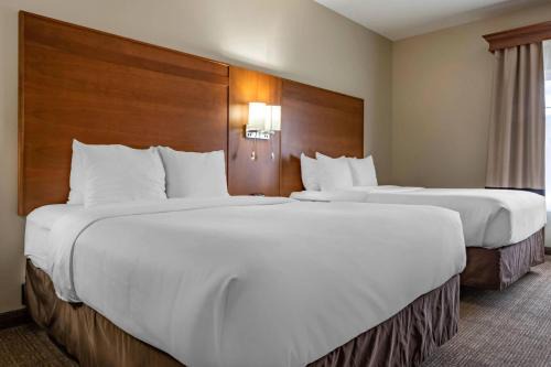 Comfort Suites Hotel Conference 